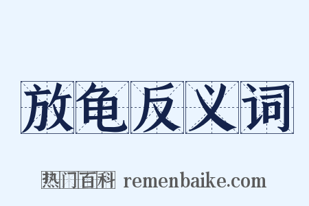 放龟反义词是什么意思的图片